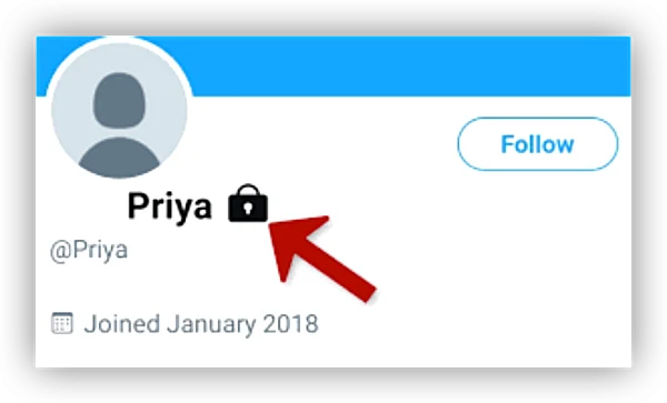 twitter private profile